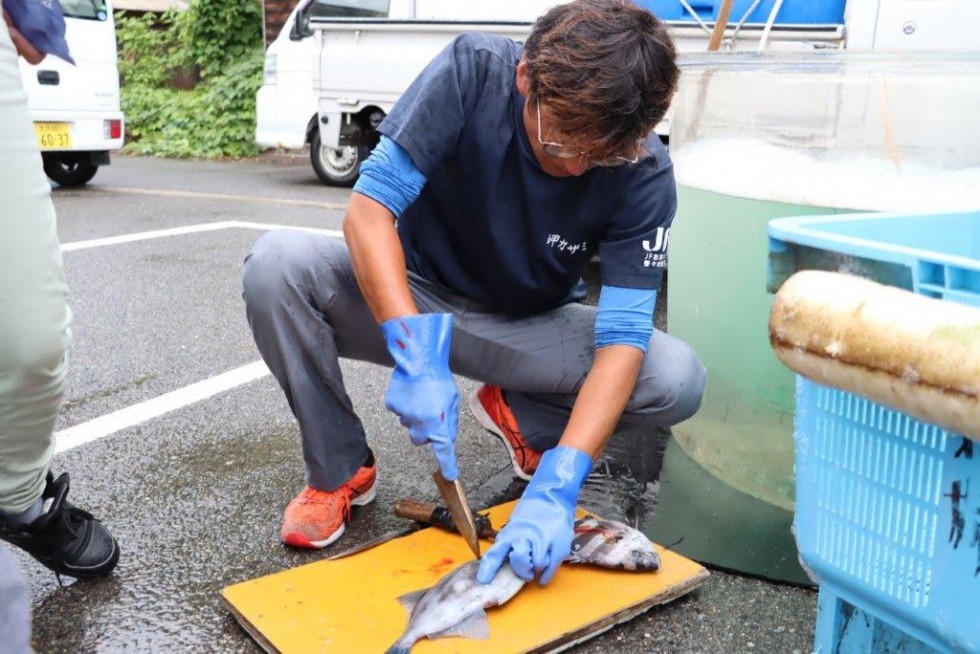 新鮮な海の幸をお届け！ ～香々地朝市～の画像10