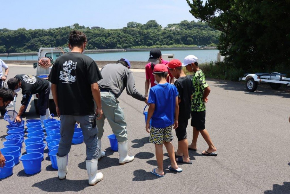 “戻ってきてね”～香々地小学校　ガザミ（稚ガニ）の放流体験～の画像6