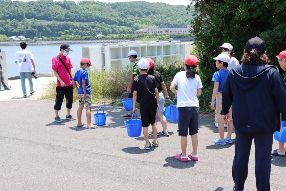 “戻ってきてね”～香々地小学校　ガザミ（稚ガニ）の放流体験～の画像7