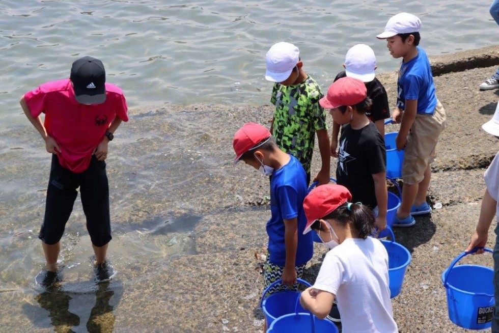 “戻ってきてね”～香々地小学校　ガザミ（稚ガニ）の放流体験～の画像8