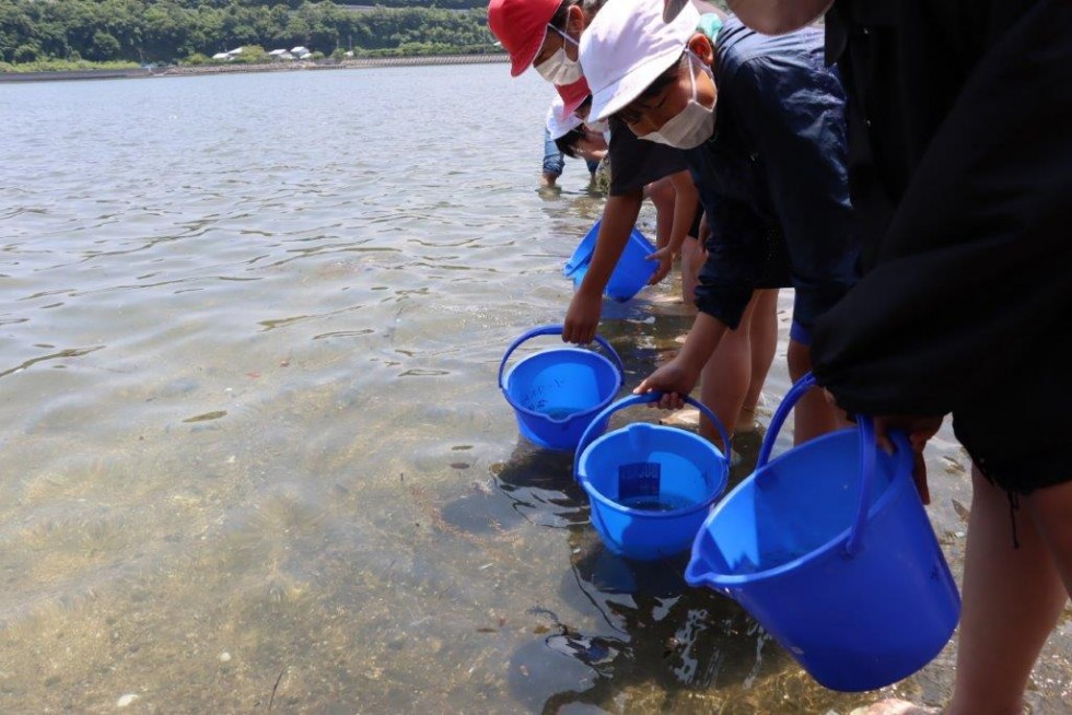 “戻ってきてね”～香々地小学校　ガザミ（稚ガニ）の放流体験～の画像9