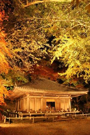 富貴寺のライトアップの写真①