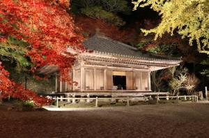 富貴寺大堂と紅葉のライトアップ