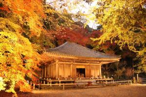 富貴寺ライトアップの画像1枚目