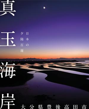 真玉海岸のポスター画像1枚目