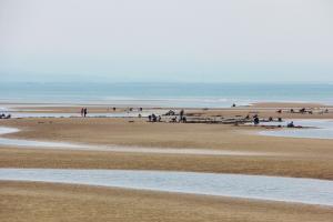 真玉海岸の画像