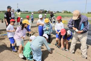 落花生の種まきをする呉崎小学校の生徒