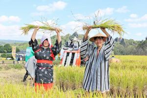 稲刈り交流会の様子