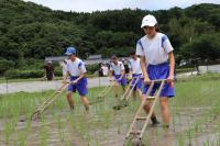 梅雨の晴れ間の八反ずり体験　～田染中学校　～の画像1
