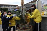 新年を迎える門松づくり交流～河内中学校～の画像1