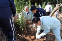 立派に大きく育ってね！西叡山植栽の集いの画像1